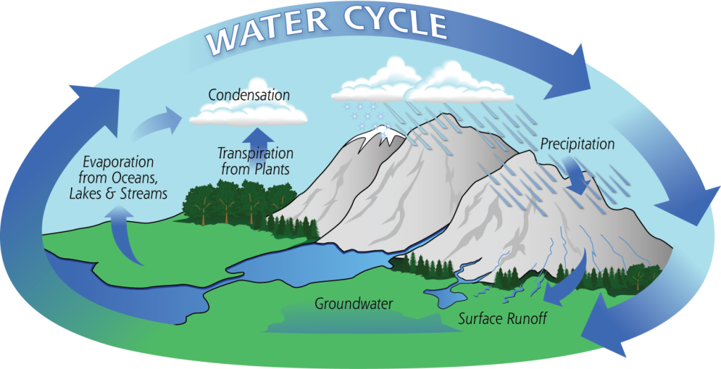 Image showing the water cycle on Earth.